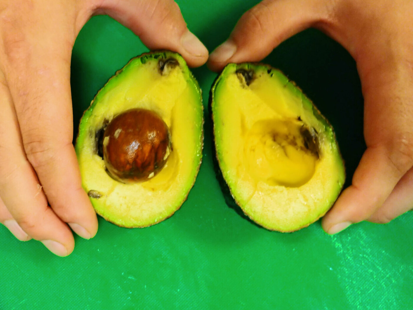 Avocado Preparation-2