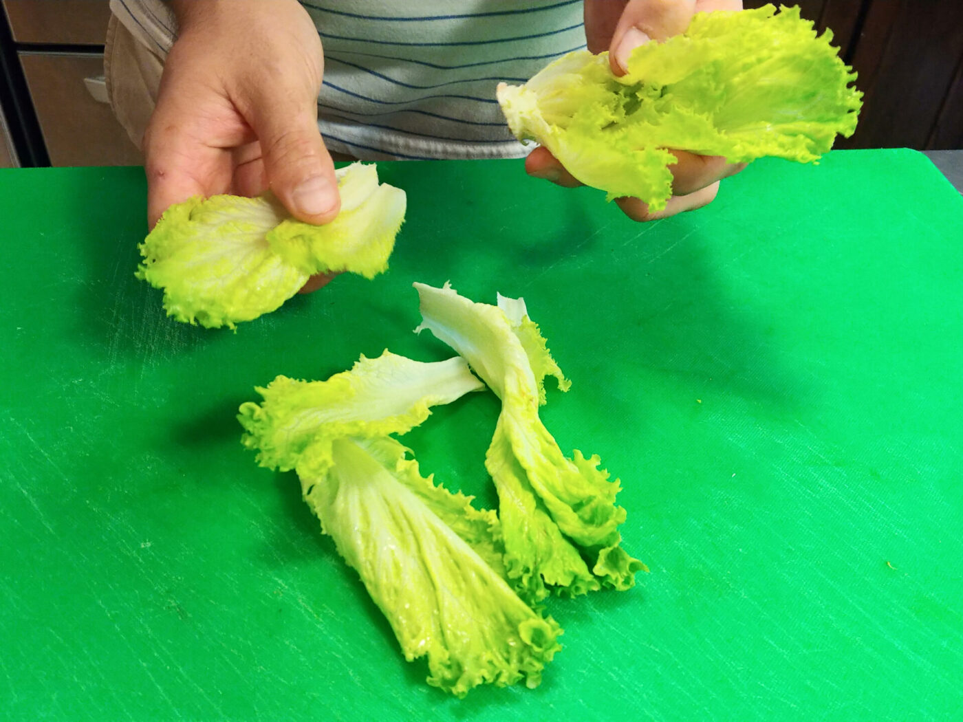 Lettuce Preparation-4