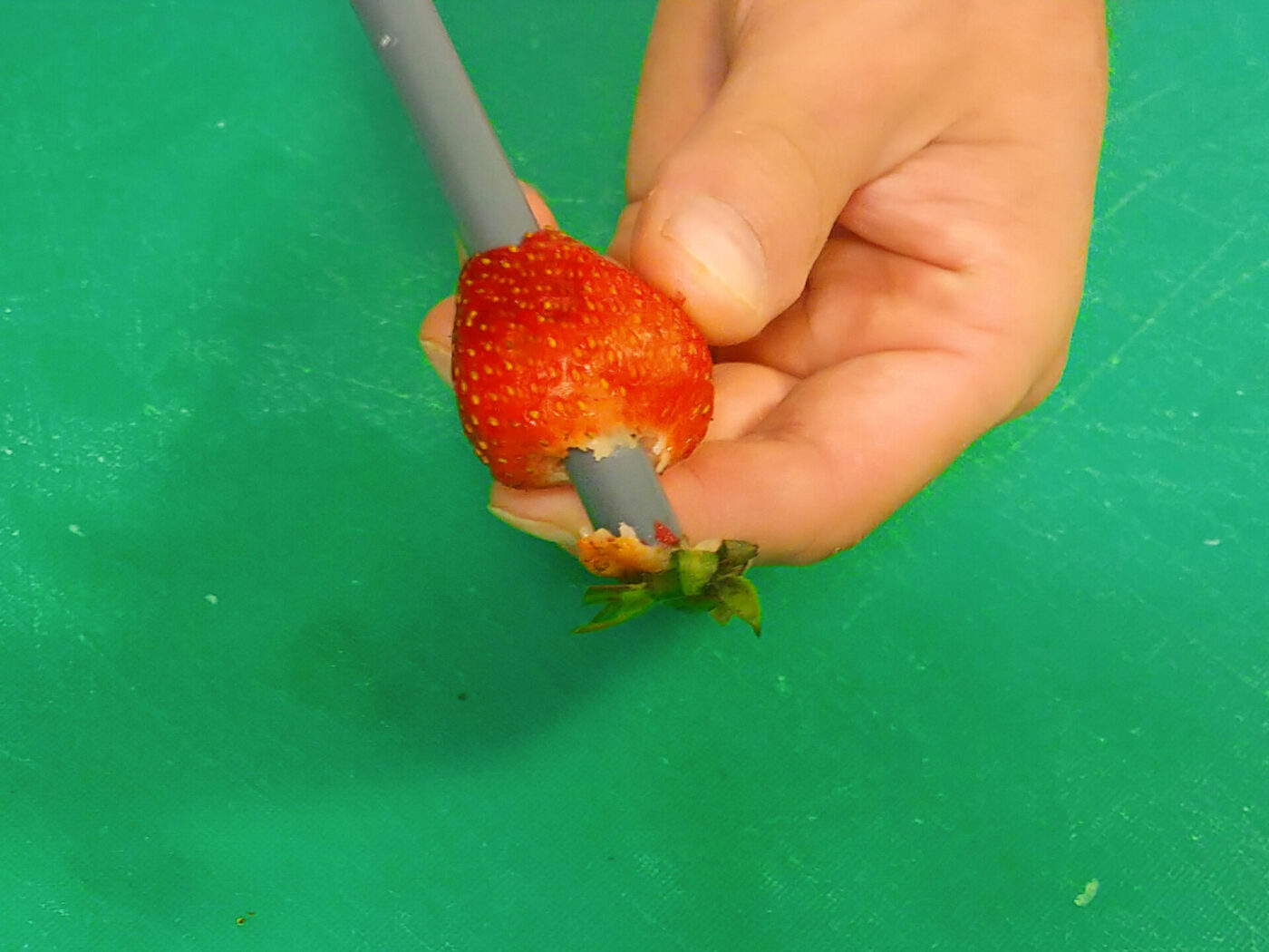 Strawberries Preparation-4