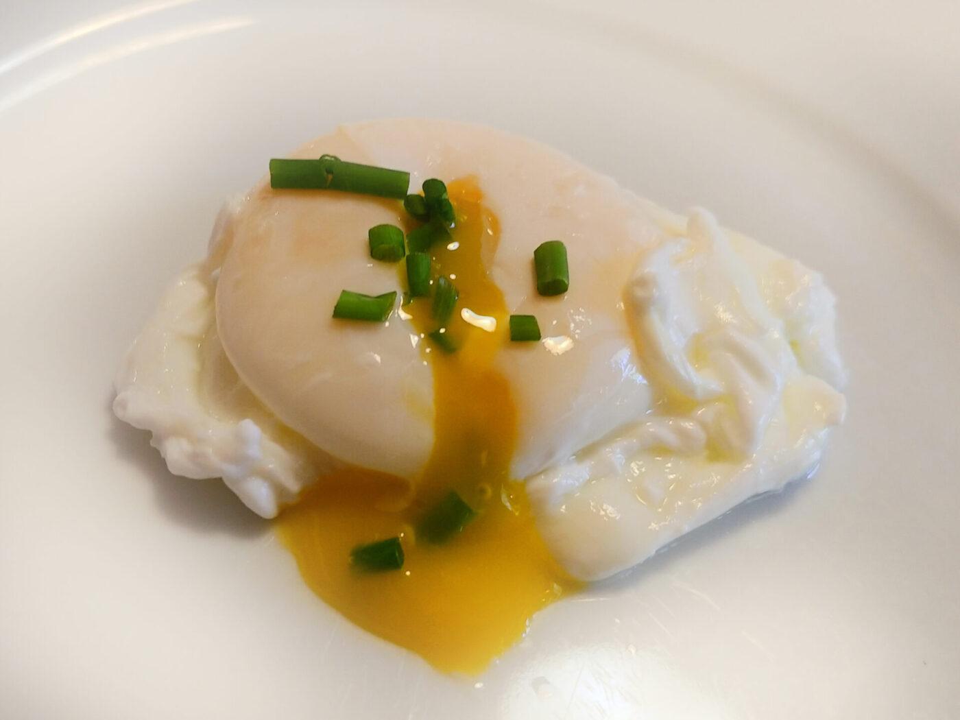 Poached Egg 2