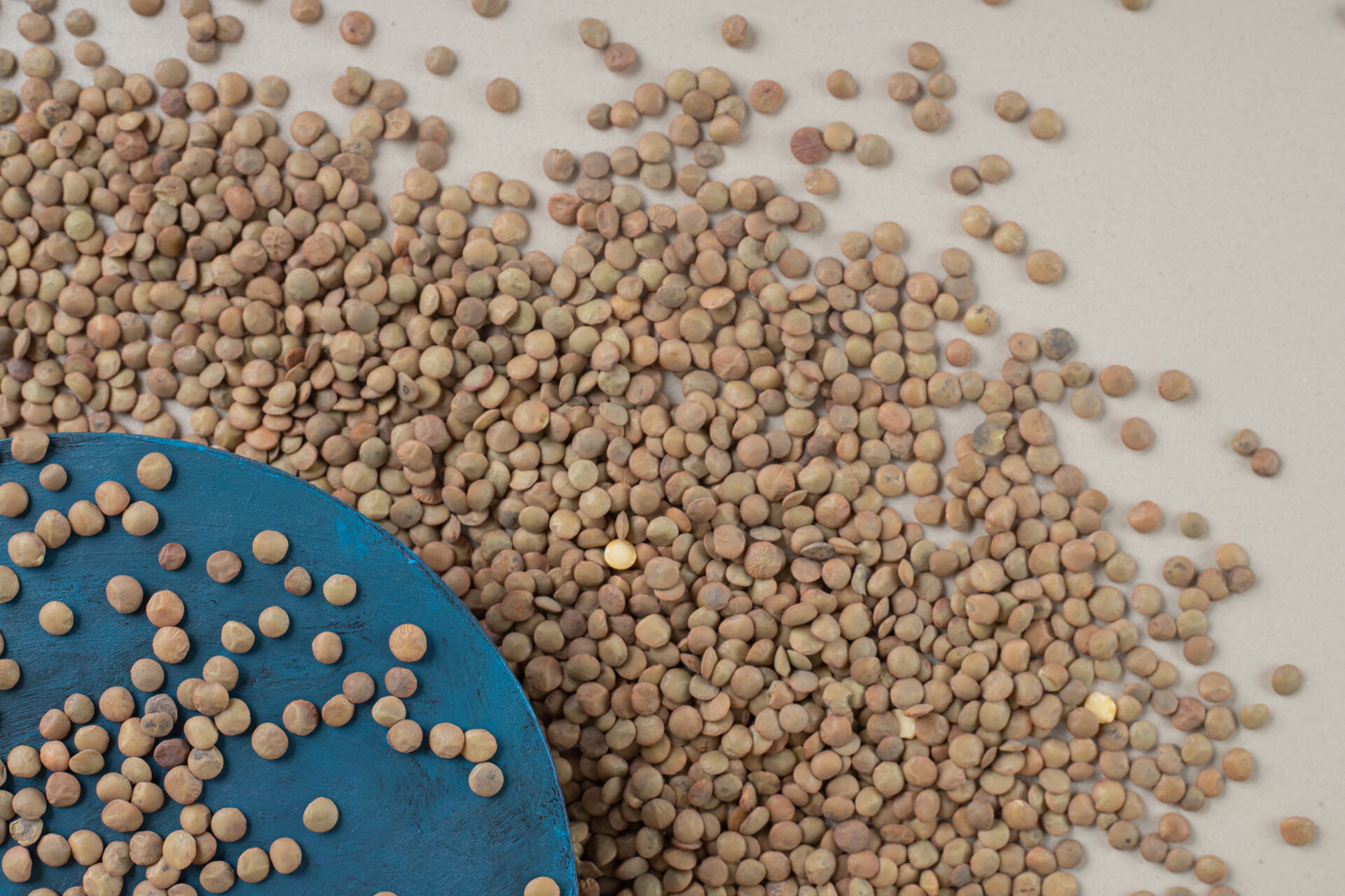 Green Lentils - CookingHub
