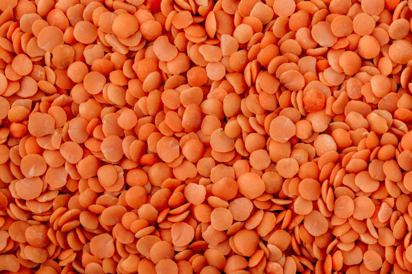 Red dry uncooked red lentils