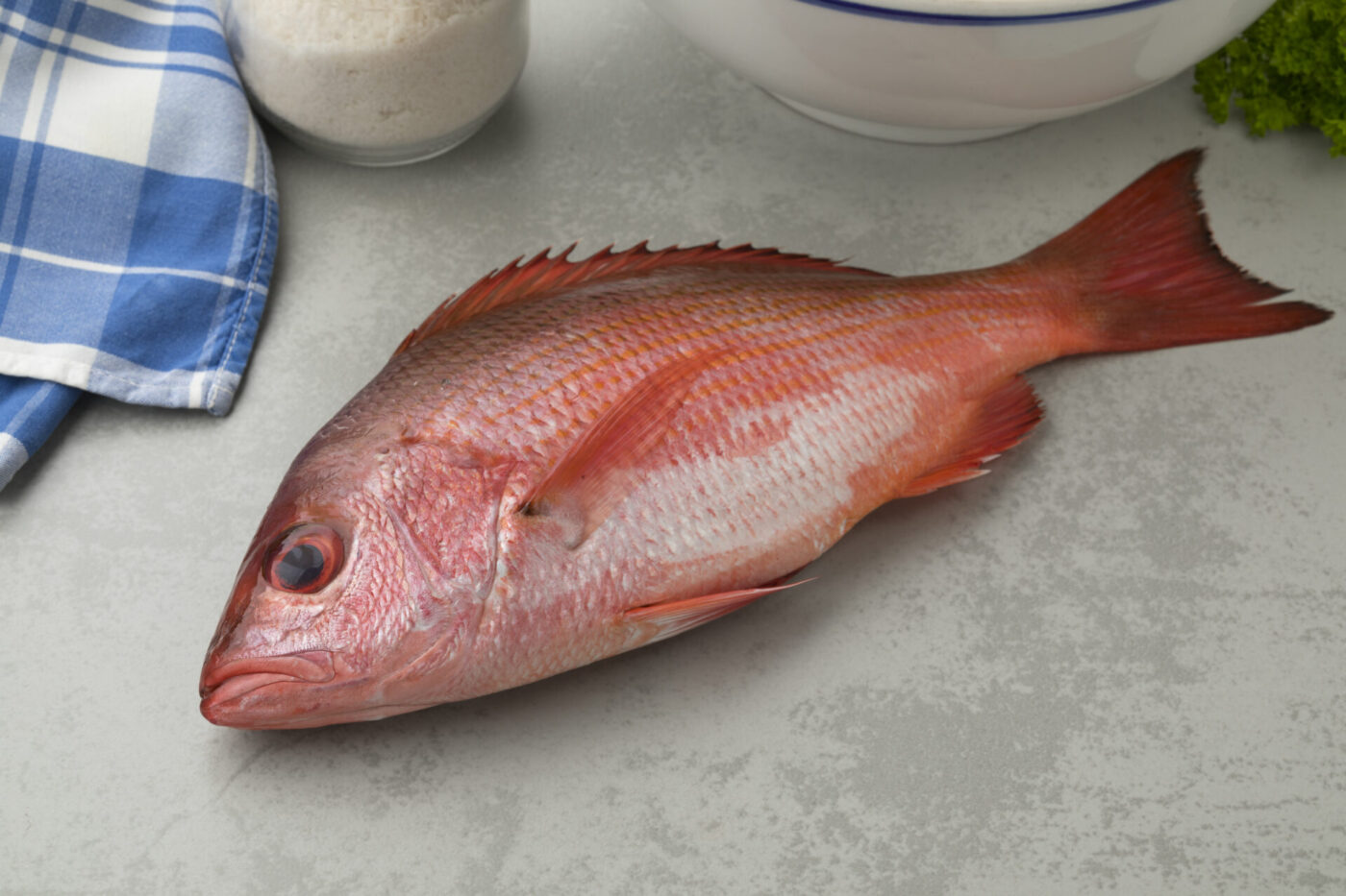 Northern red snapper ready to cook
