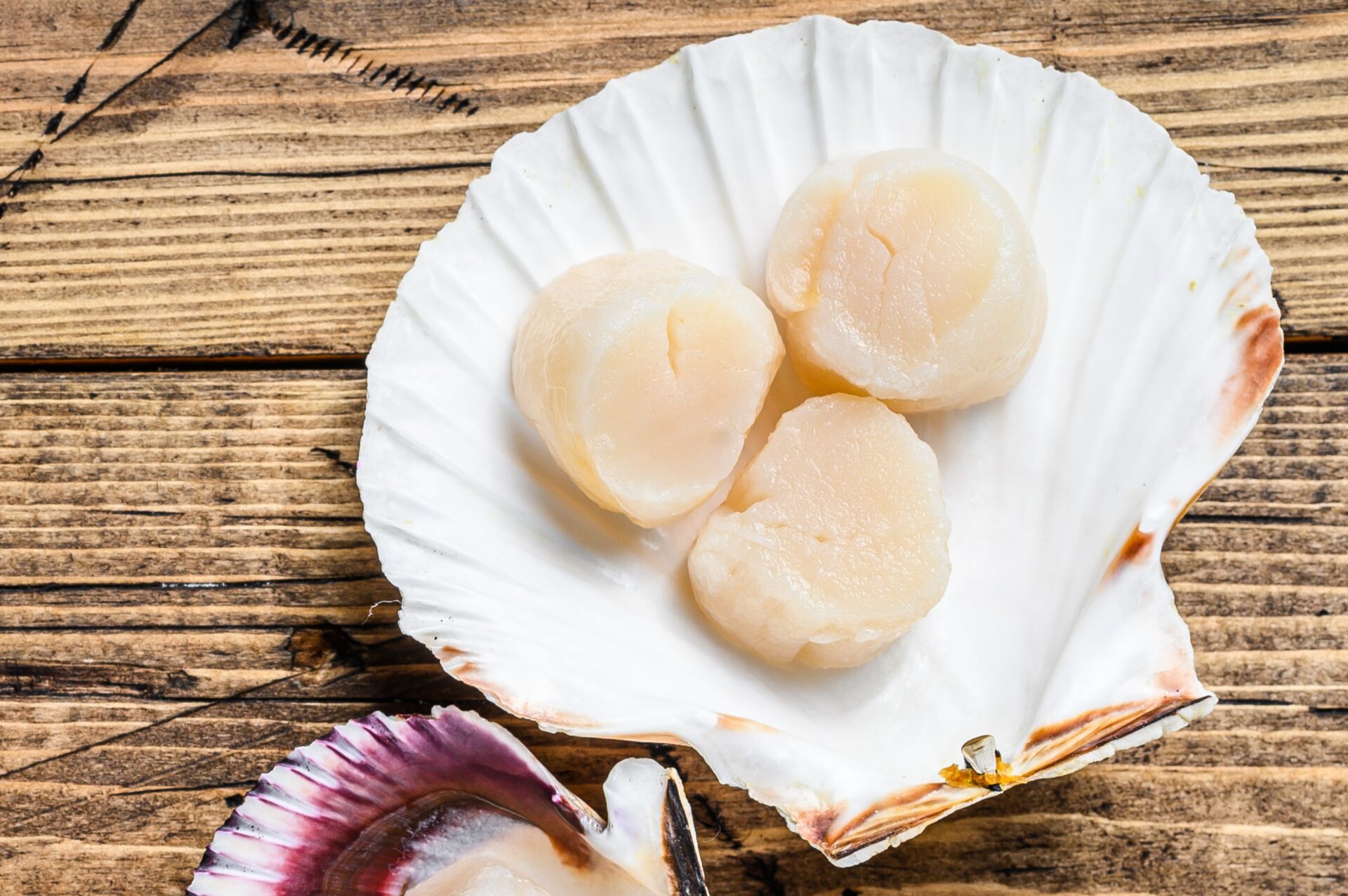 King Scallops CookingHub