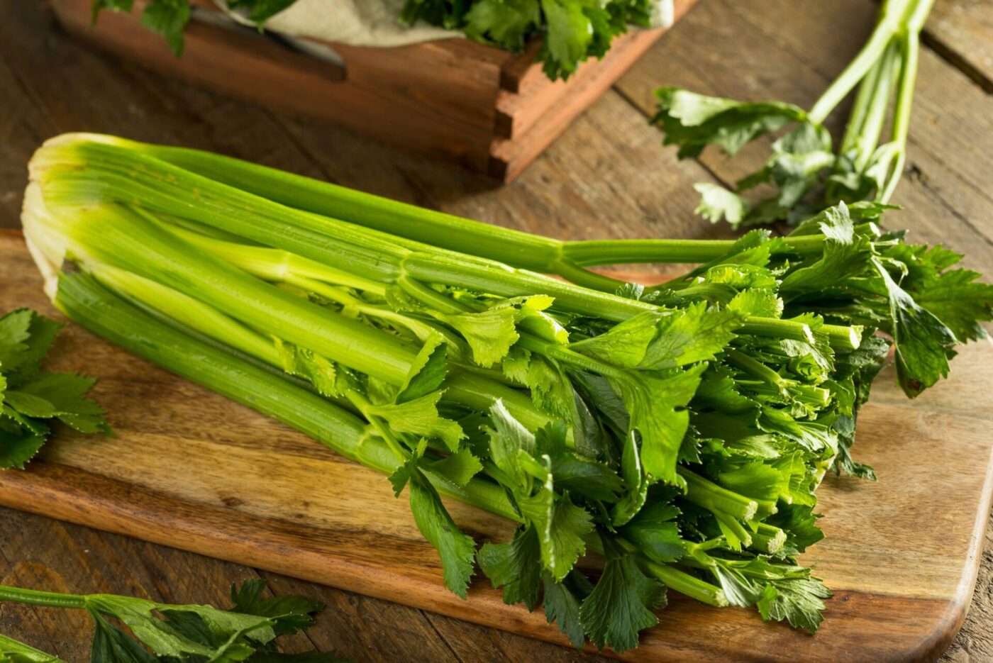 celery ribs