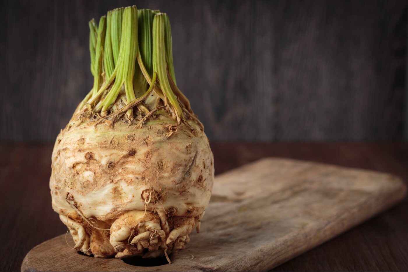celery root celeriac