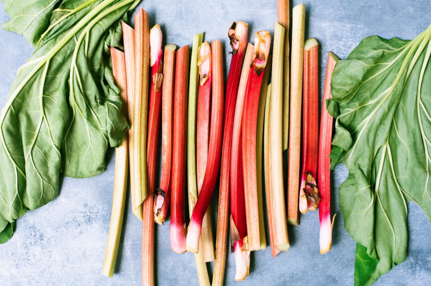 rhubarb