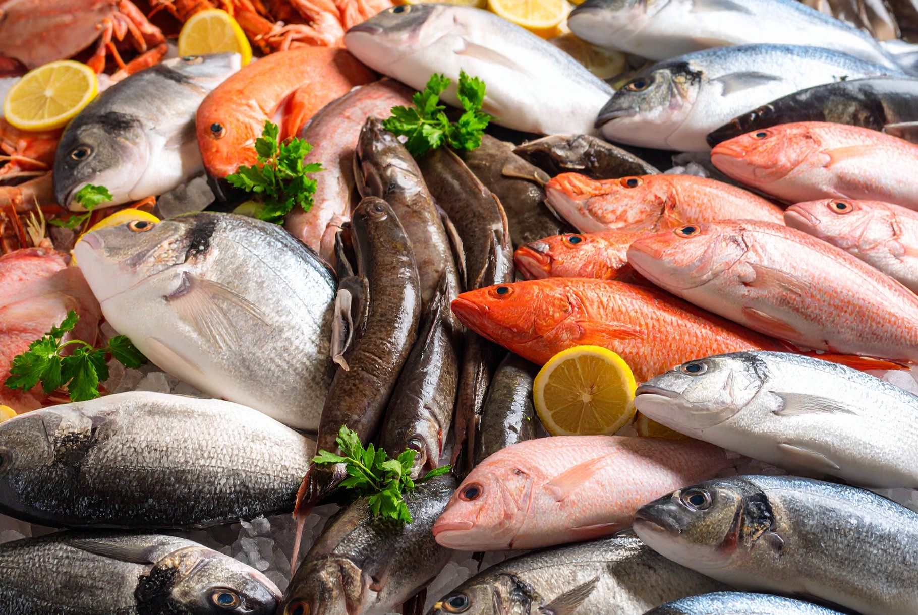 A Complete Guide to Saltwater Fish - CookingHub