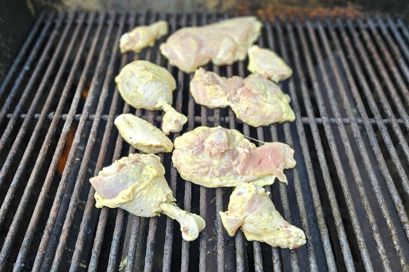 Lemon and Garlic Chicken-15
